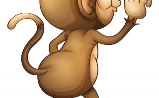 猴子数据分析思维案例，猴子的思维方法
